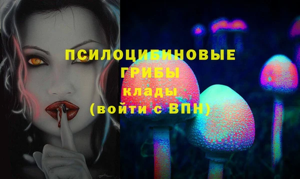 марки nbome Богородицк