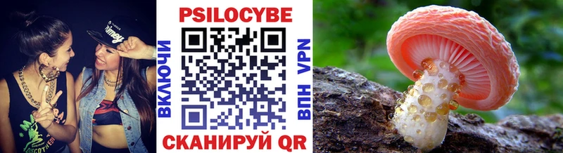 Псилоцибиновые грибы прущие грибы  купить наркотики сайты  hydra tor  Нижний Новгород 